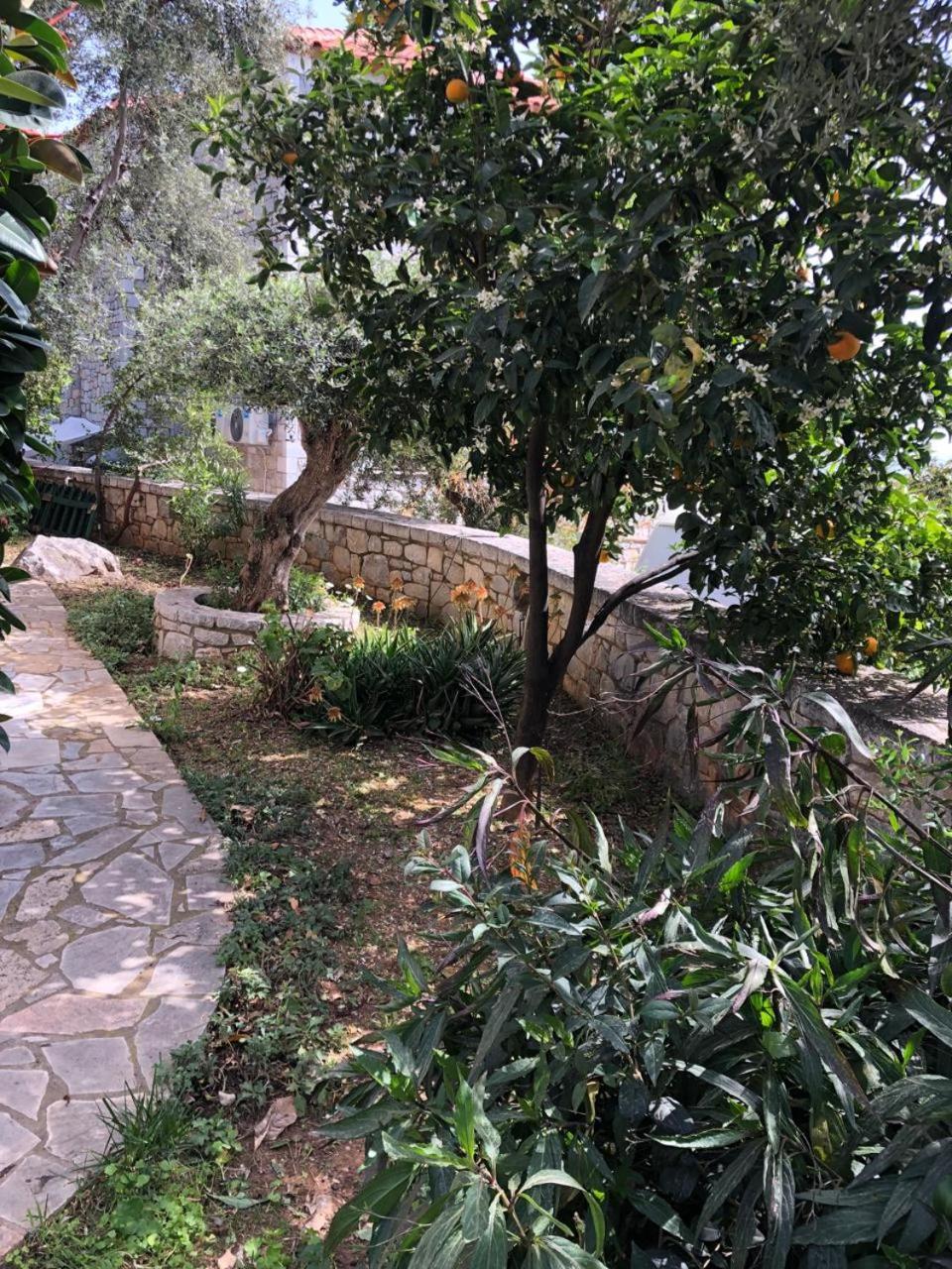 Villa Amanda Neokhorion  Luaran gambar